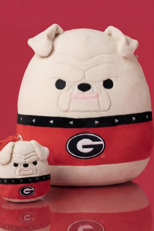 University of Georgia Hairy Dawg Plush Bundle