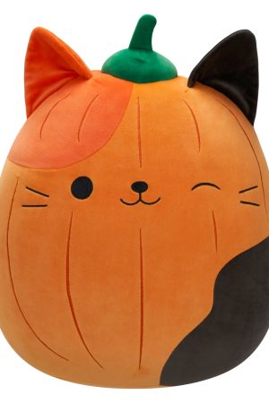 Pumpkin Cam