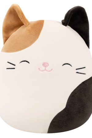 Cam the Calico Cat