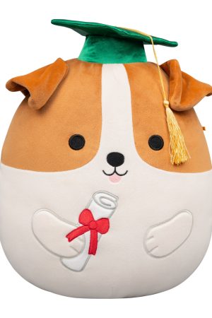 12-Inch Brenden the Jack Russell Terrier in Graduation Cap
